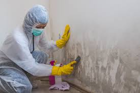 Best Environmental Consulting for Mold Prevention  in Lexington, OK